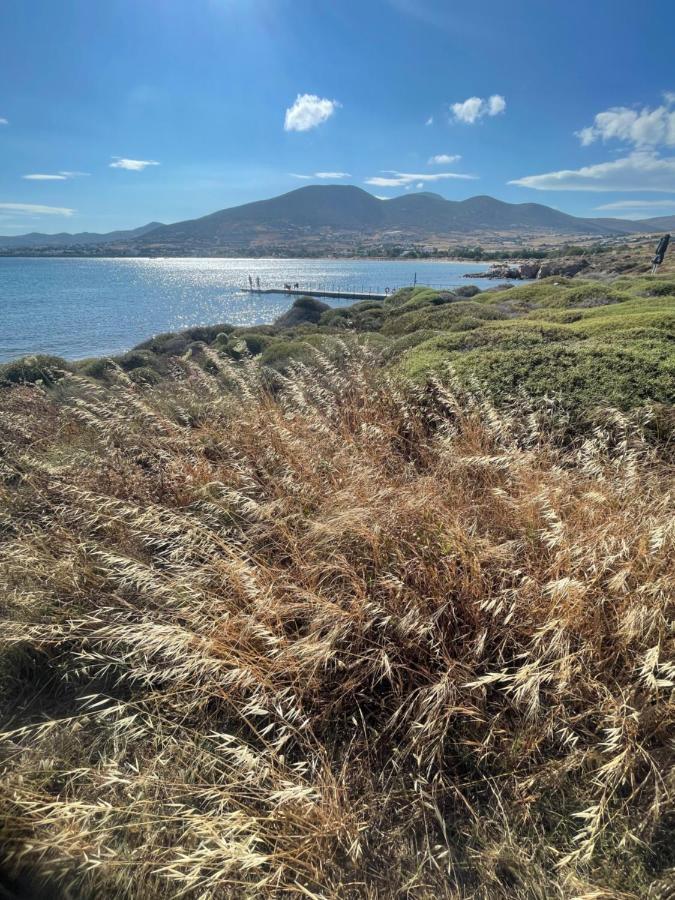 Appartamento Sunkiss Paros Drios Esterno foto